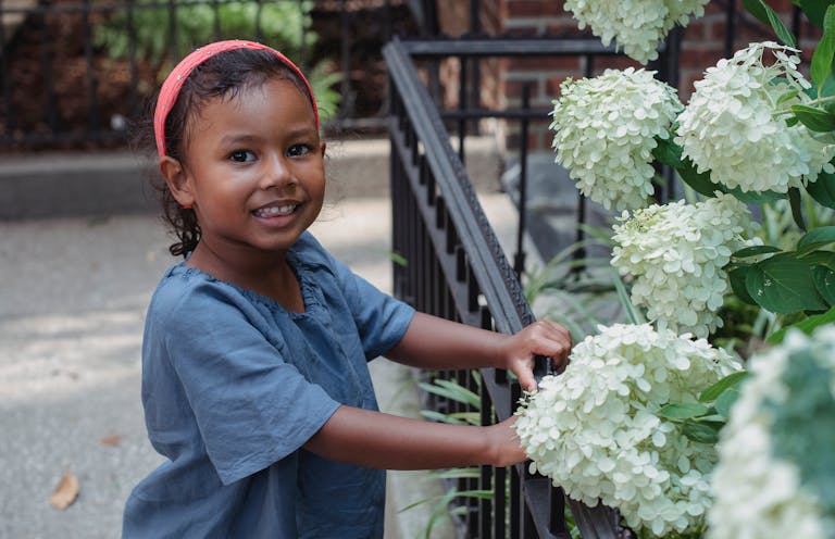 Smiling child beside white hydrangea flowers in a garden.